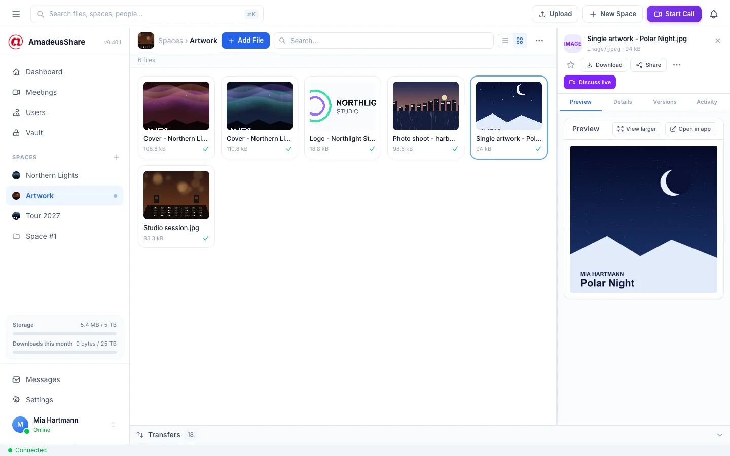 The Artwork space in grid view with six pictures; the “Polar Night” single artwork is open in the detail panel.