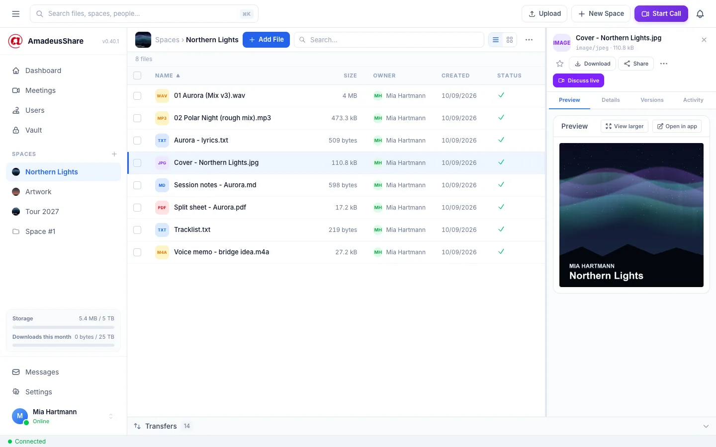 The Northern Lights space: a list of eight files (mixes, lyrics, cover, notes, a voice memo) with the album cover open in the detail panel.