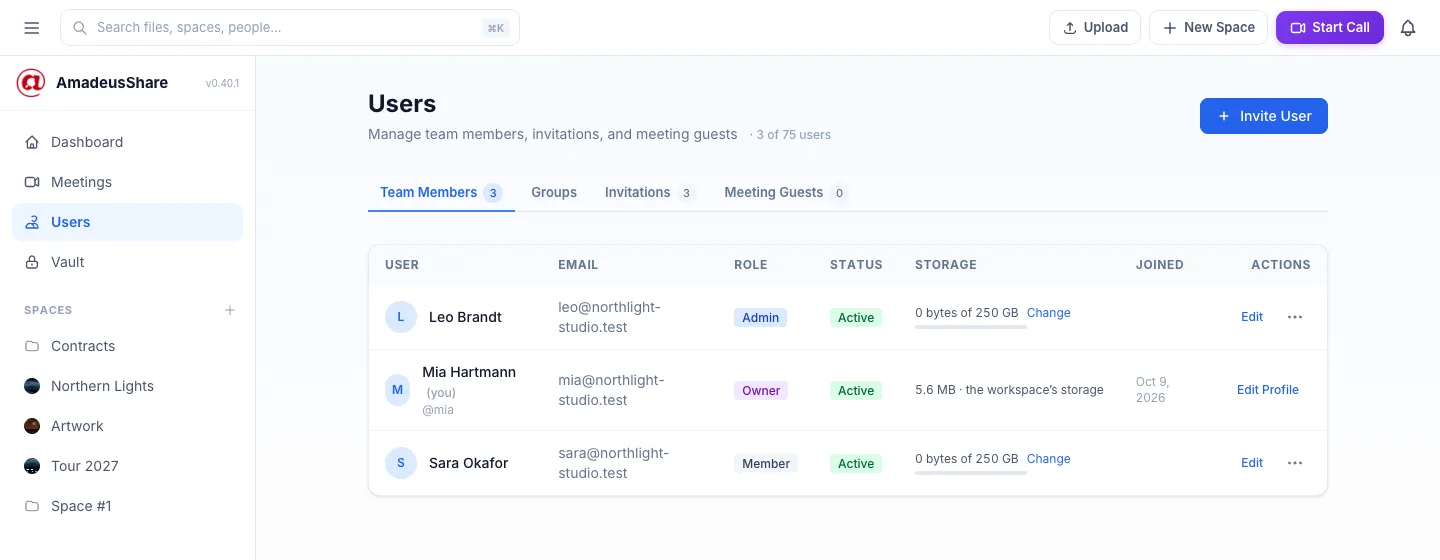 The Users page: tabs Team Members (3), Groups, Invitations, Meeting Guests; Leo Brandt (Admin), Mia Hartmann (Owner) and Sara Okafor (Member) with their storage.